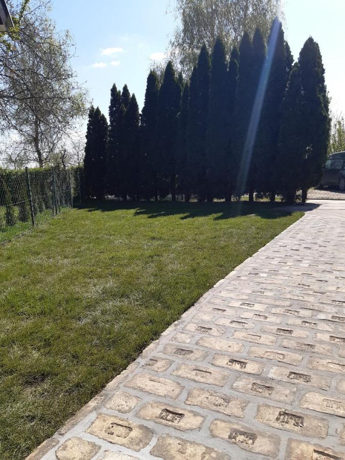 Palic Vila Masa Pr Emina Stipancevic Экстерьер фото